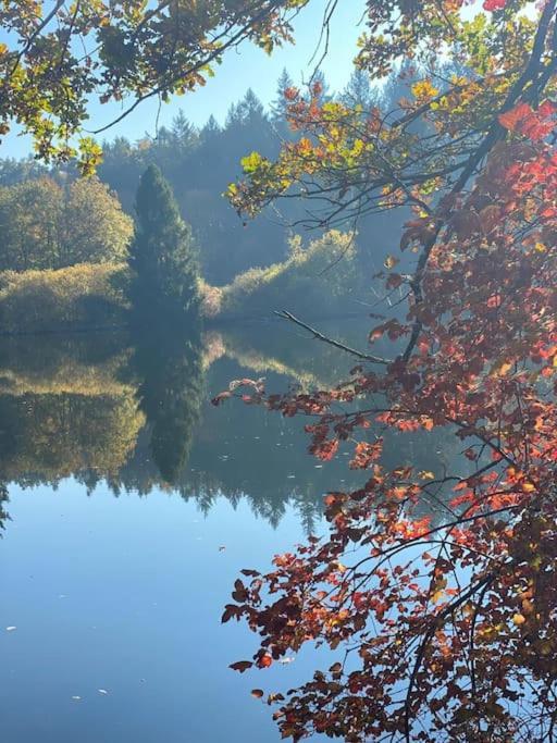 Charismatisch Und Gemuetlich In Guettingen, Nah Zum Buchensee Und Bodensee, Tolle Lage ラドルフツェル・アム・ボーデンゼー エクステリア 写真